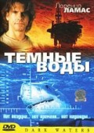 Темные воды (фильм 2003)