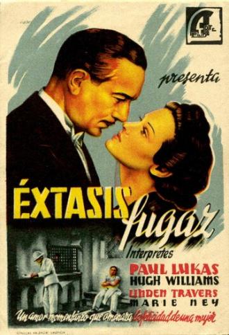 Brief Ecstasy (фильм 1937)