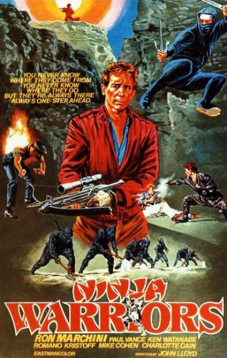 Воины ниндзя (фильм 1985)