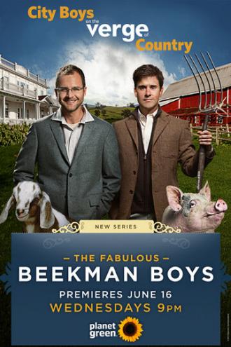 The Fabulous Beekman Boys (сериал 2010)
