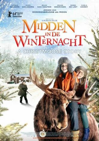 Midden in De Winternacht (фильм 2013)