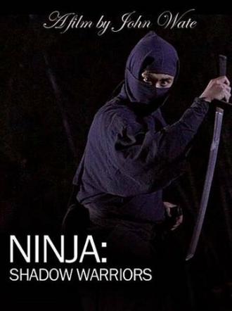 Ниндзя: Воины-тени (фильм 2012)