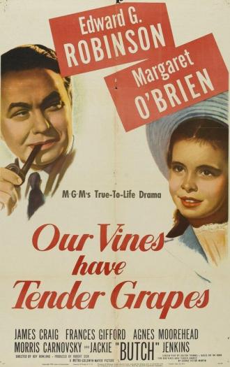 У нас растет нежный виноград (фильм 1945)