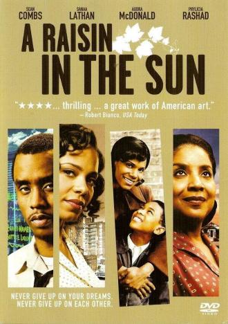 Изюм на солнце (фильм 2008)