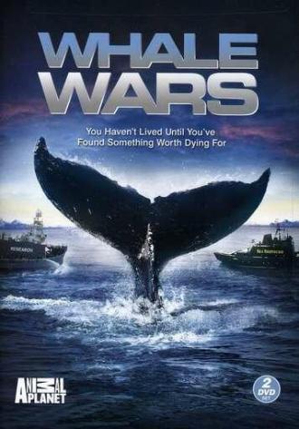 Китовые войны (сериал 2008)
