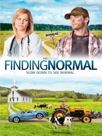 Finding Normal (фильм 2013)