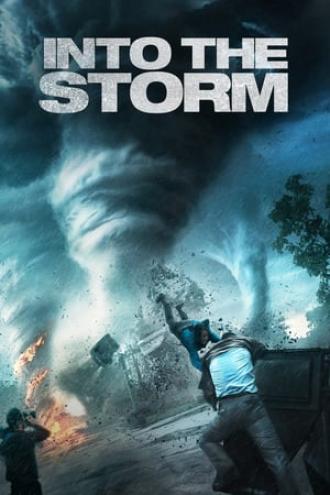 Навстречу шторму (фильм 2014)