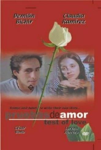 Доказательства любви (фильм 1994)