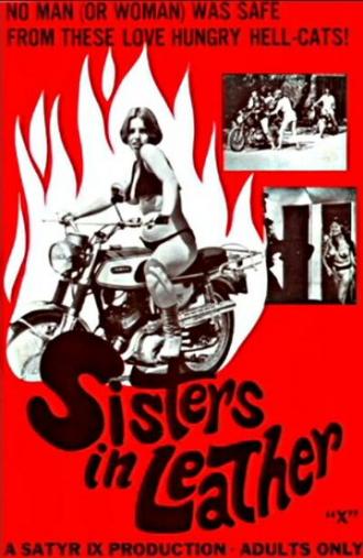 Сестрички в коже (фильм 1969)