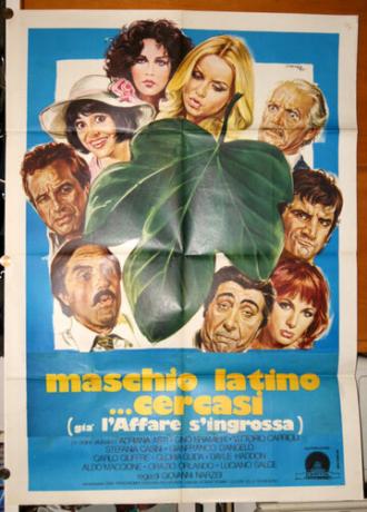 Разыскивается латинский мачо (фильм 1977)