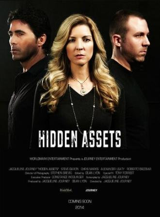 Hidden Assets (фильм 2015)