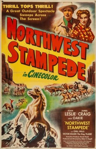 Northwest Stampede (фильм 1948)