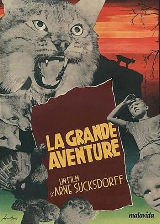 Большое приключение (фильм 1953)