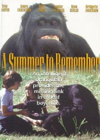 A Summer to Remember (фильм 1985)