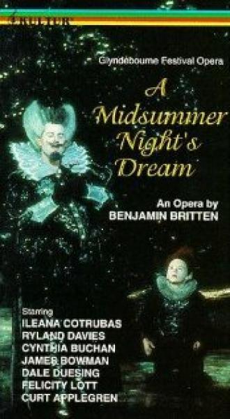 Сон в летнюю ночь (фильм 1981)