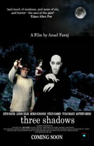 Three Shadows (фильм 2010)