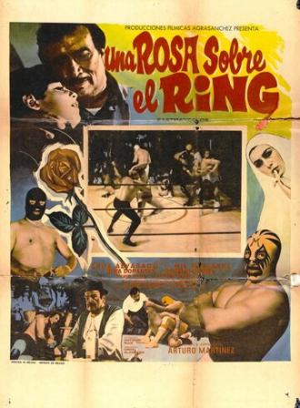 Una rosa sobre el ring (фильм 1973)