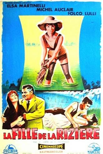 Рисовое поле (фильм 1956)