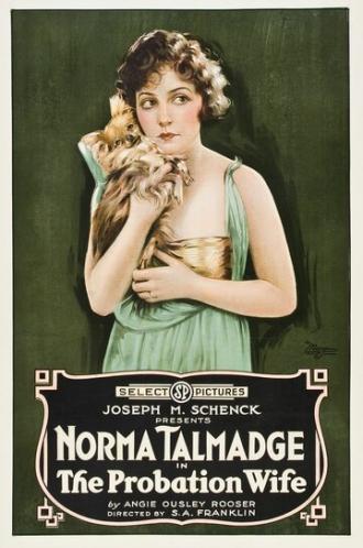 The Probation Wife (фильм 1919)