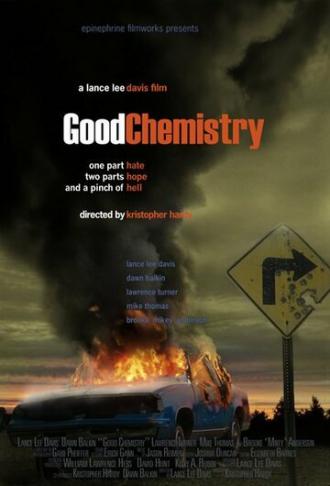 Хорошая химия (фильм 2008)