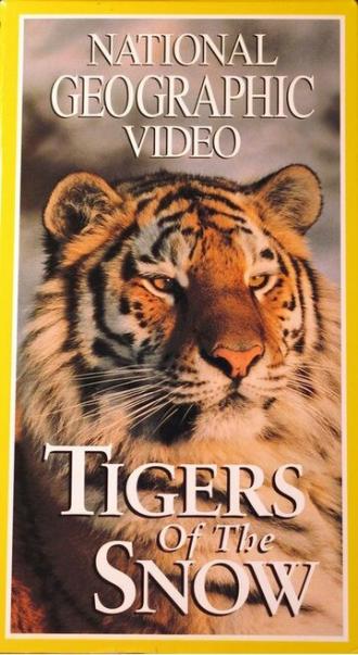 НГО: Сибирские тигры (фильм 1997)