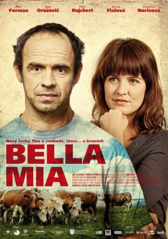Белла миа (фильм 2013)