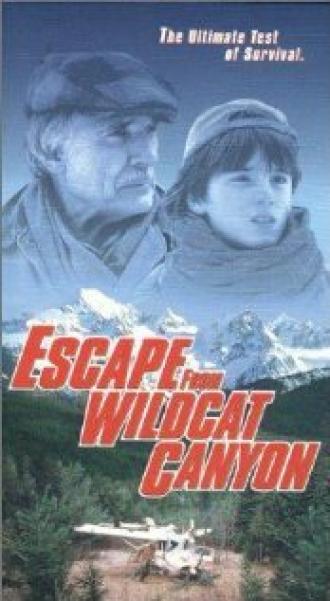 Побег из каньона дикой кошки (фильм 1998)