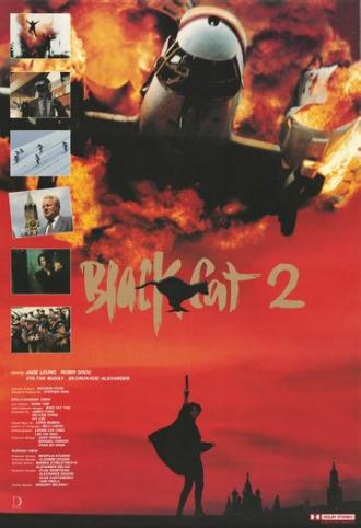 Черная кошка 2 (фильм 1992)