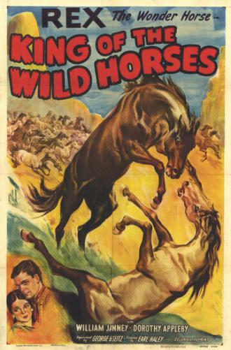 King of the Wild Horses (фильм 1933)