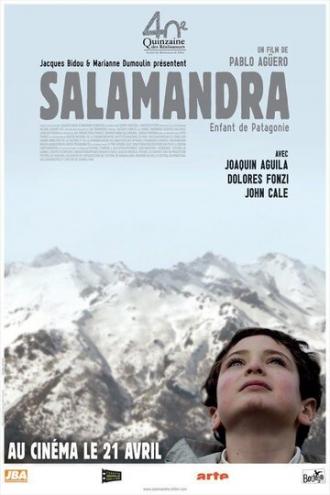 Саламандра (фильм 2008)