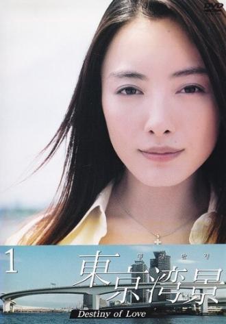 Токийский залив (сериал 2004)