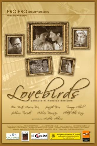 Влюблённые пташки (фильм 2008)