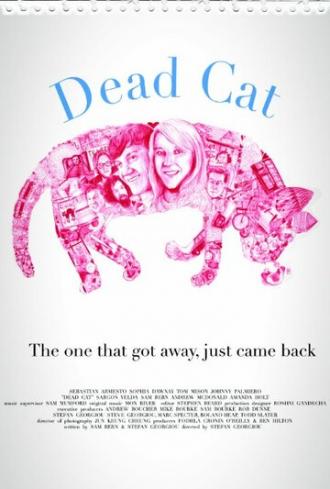 Мертвый кот (фильм 2013)