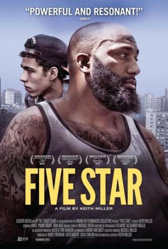 Пять звёзд (фильм 2014)