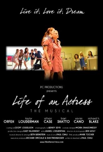 Мюзикл: Жизнь актрисы (фильм 2014)