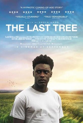 Последнее дерево (фильм 2019)
