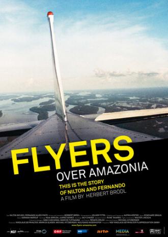 Flieger über Amazonien (фильм 2008)