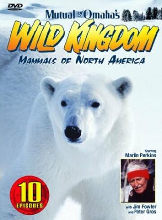 Царство животных (сериал 2002)