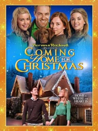 Coming Home for Christmas (фильм 2013)