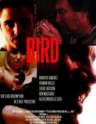 Bird (фильм 2020)