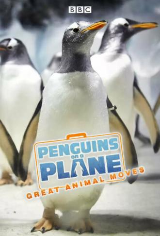 Пингвины на самолете: Передвижение великих животных