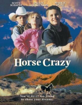 Дикая лошадь (фильм 2001)