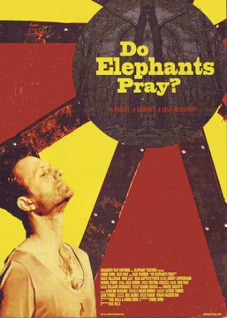 Молятся ли слоны? (фильм 2010)