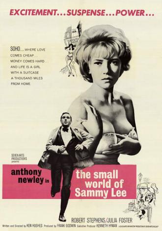 Маленький мир Сэмми Ли (фильм 1963)