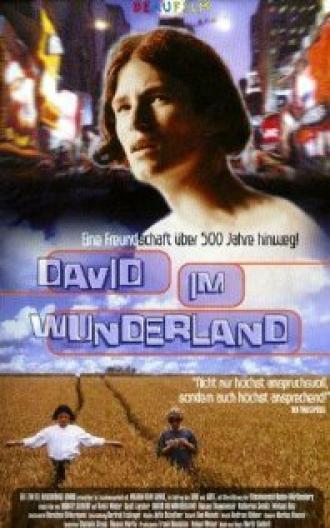 Давид в стране чудес (фильм 1998)