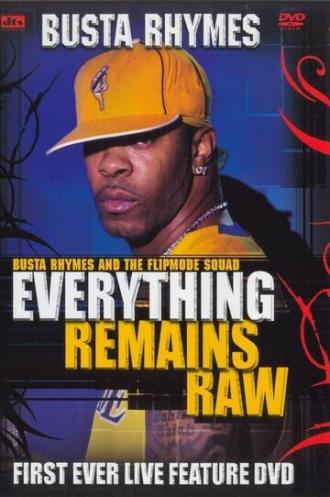Busta Rhymes: Everything Remains Raw (фильм 2004)