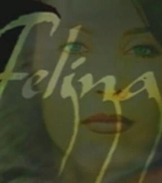 Фелина (сериал 2001)