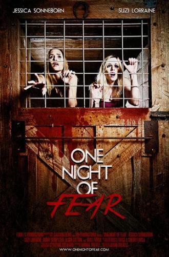 Одна ночь страха (фильм 2016)