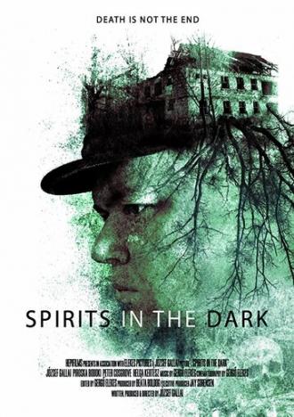 Spirits in the Dark (фильм 2020)