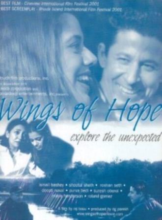 Крылья надежды (фильм 2001)